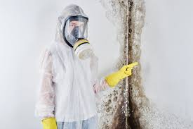 Best Mold Odor Removal Services  in Granbury, TX